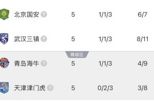 中超大连英博vs深圳新鹏城直播
