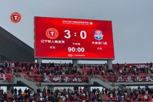 塔斯马尼亚跳伞蚁东南墨尔本凤凰免费直播