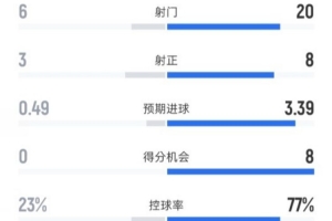 珀斯野猫东南墨尔本凤凰免费直播