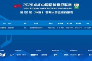 官方公布：李海新吹罚浙江vs武汉三镇中超补赛，刘钊担任VAR