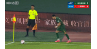 维塔尔禁区内犯规送点，米特里策点射破门，浙江2-4落后海港