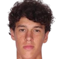 帕夫利切维奇