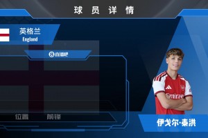 投资未来！阿森纳新签的小将伊戈尔·泰洪什么水平？
